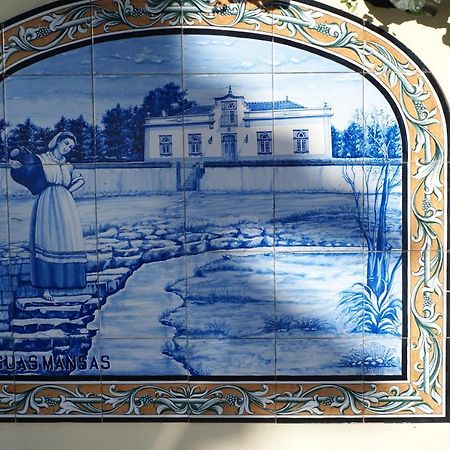 Casa Aguas Mansas Bed & Breakfast Cadima Luaran gambar